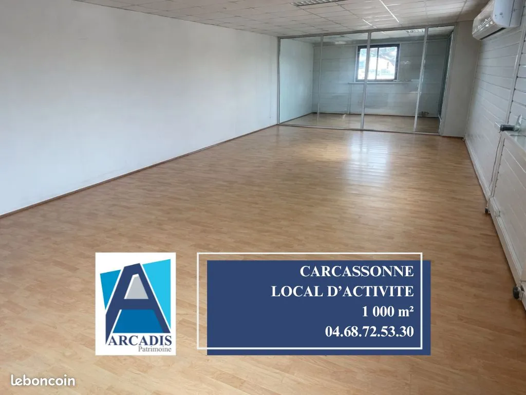 Local d'activité