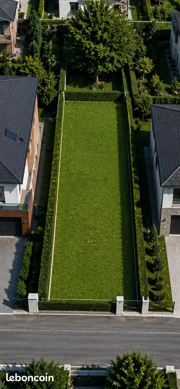 Terrain