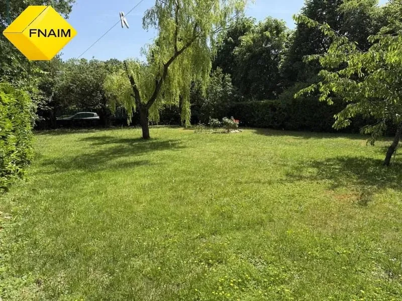 Terrain