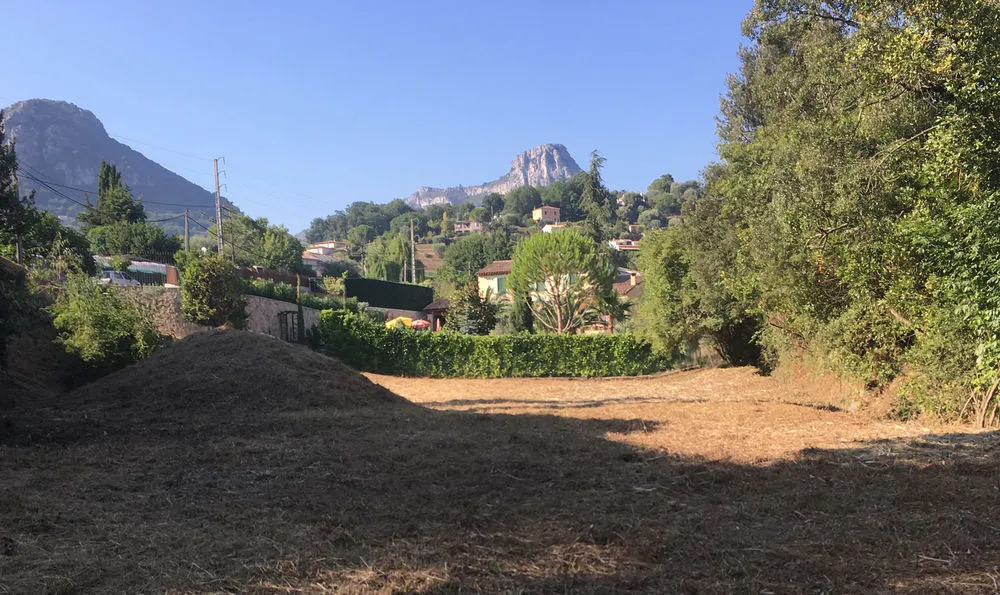 Terrain