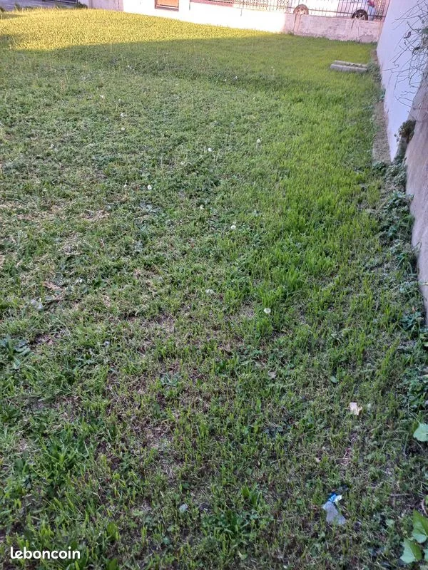 Terrain