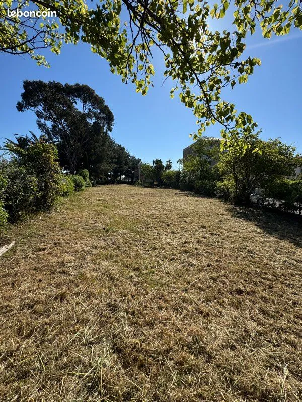 Terrain