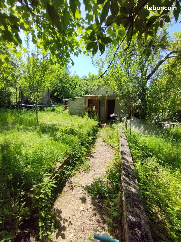 Terrain