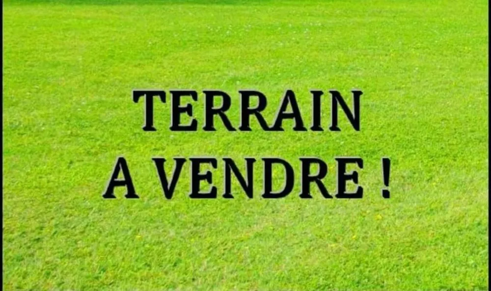 Terrain