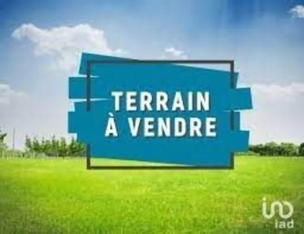 Terrain