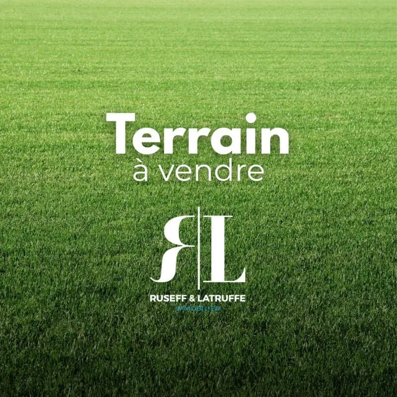 Terrain