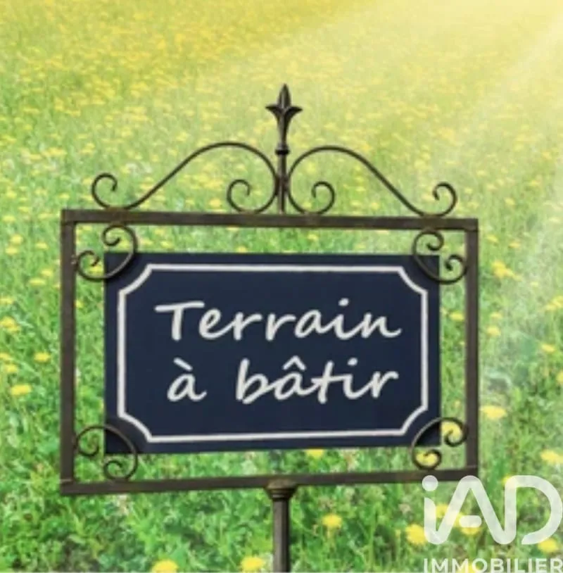 Terrain