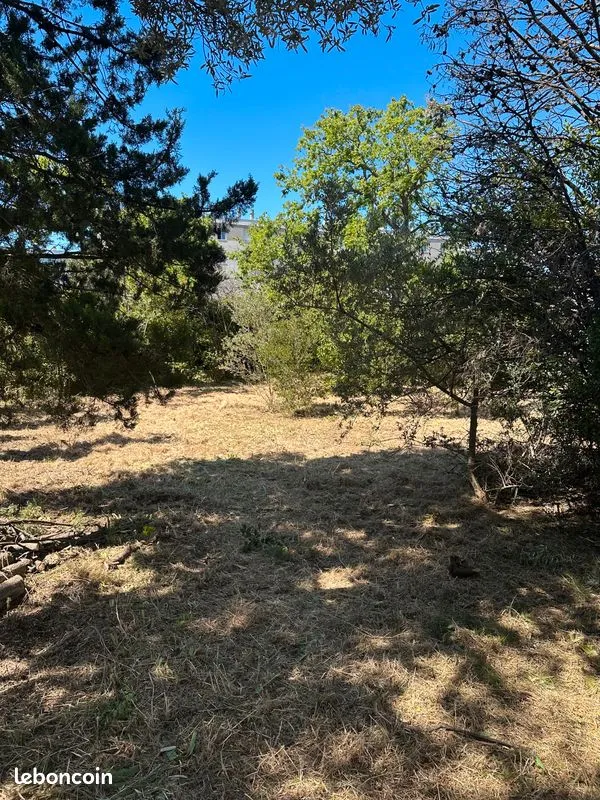 Terrain