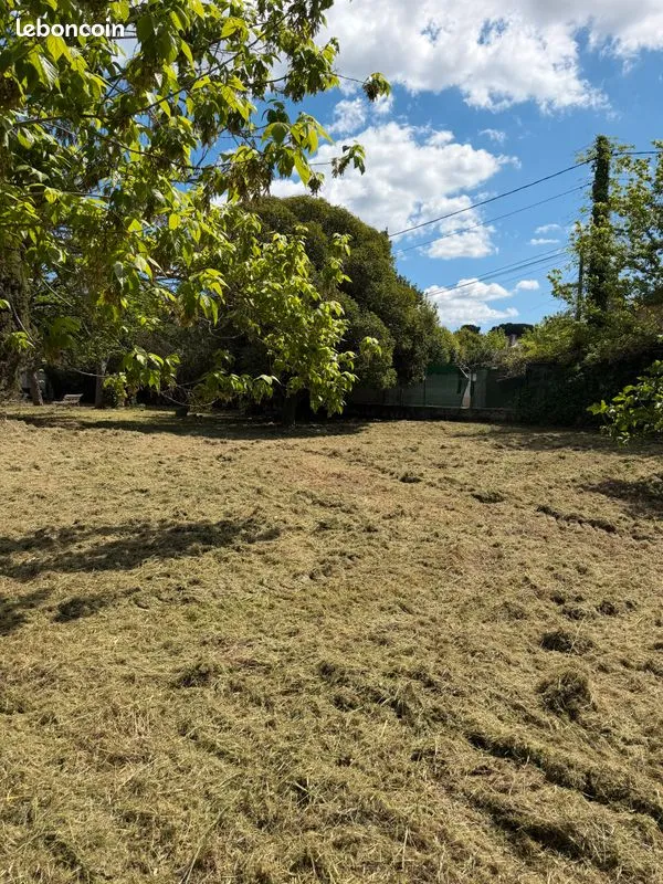 Terrain