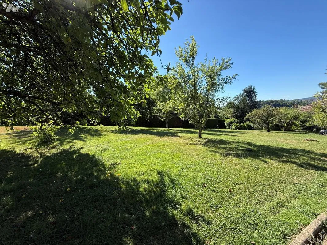 Terrain