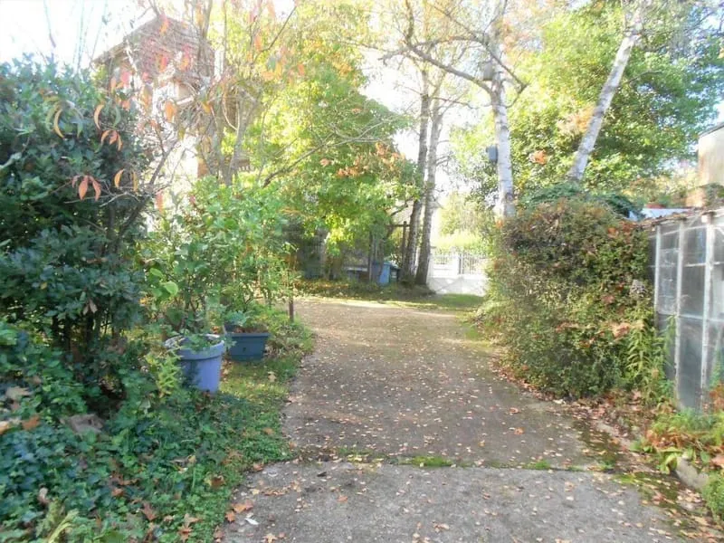Terrain