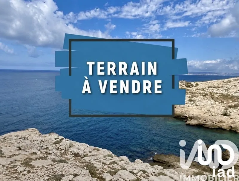 Terrain