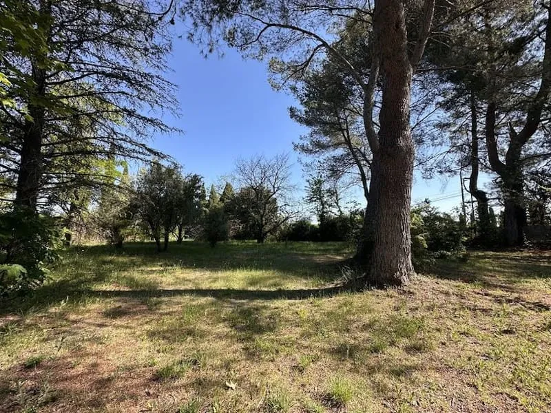 Terrain
