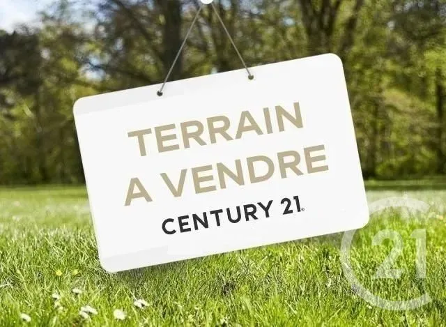 Terrain