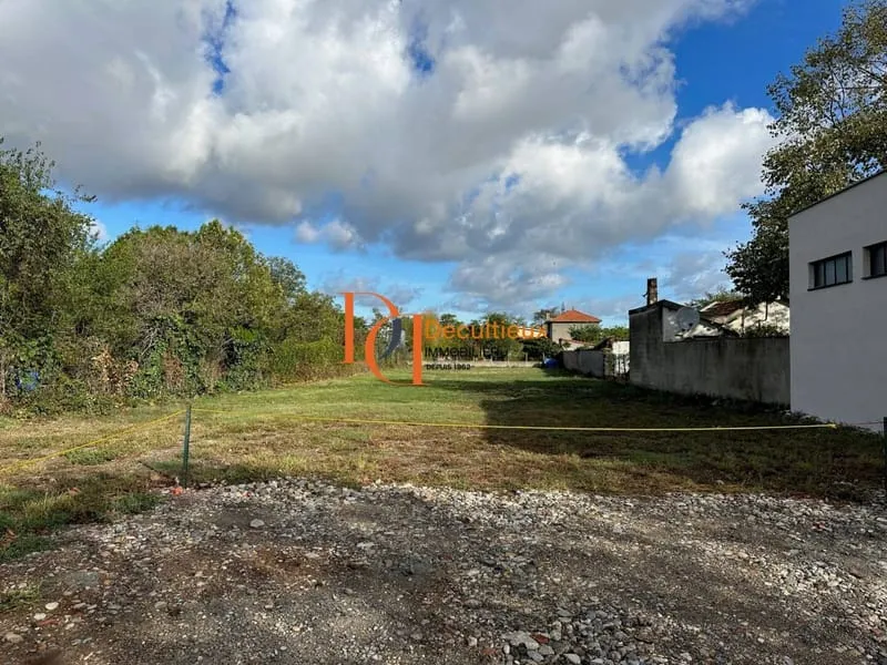 Terrain