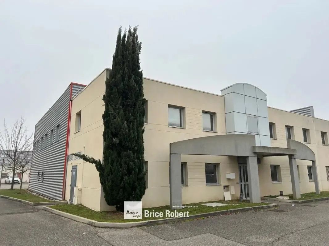 Local d'activité