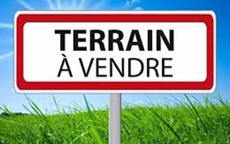 Terrain