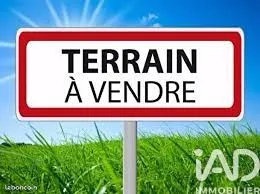 Terrain