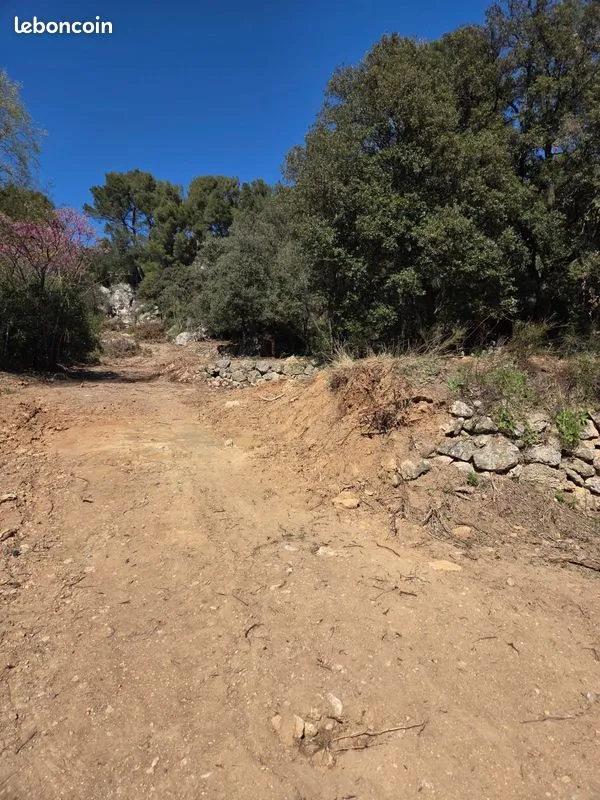 Terrain
