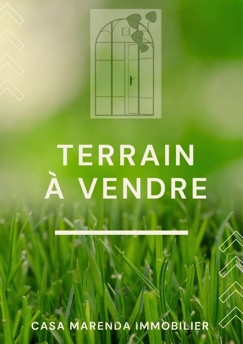 Terrain