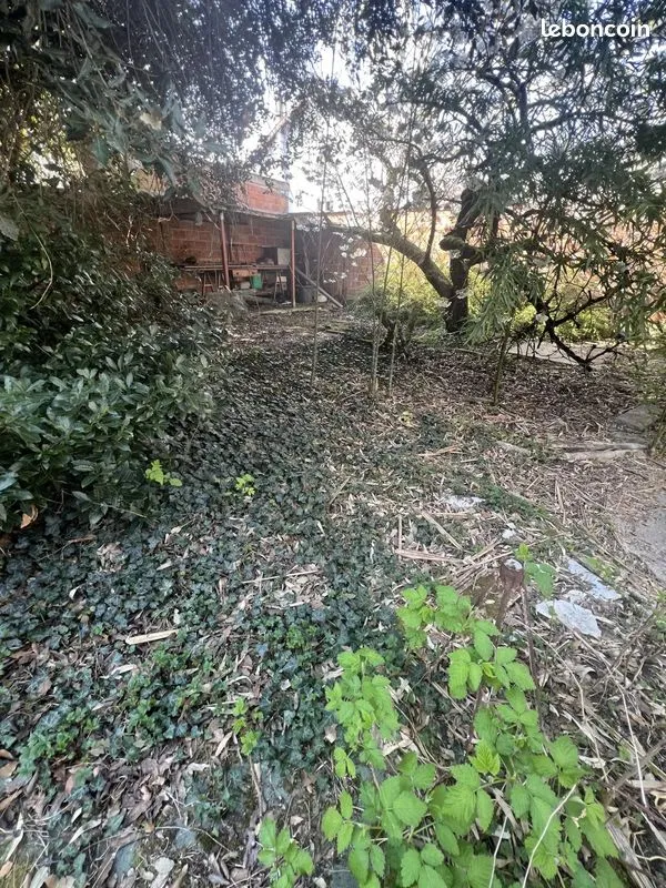 Terrain