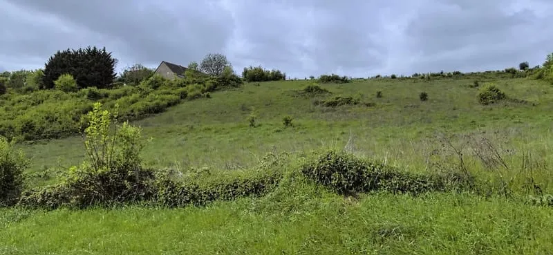 Terrain