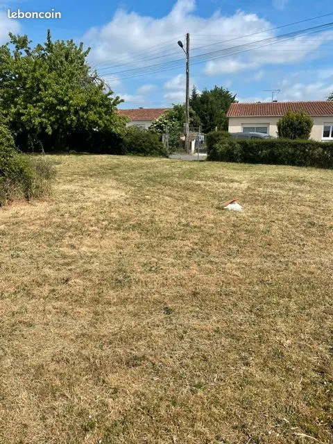 Terrain