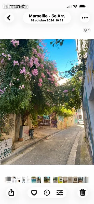 Local d'activité