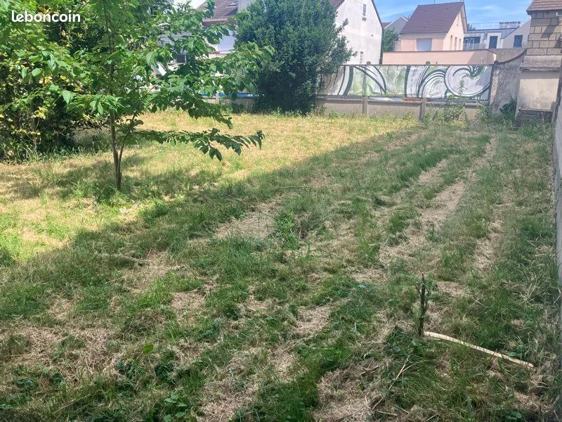Terrain
