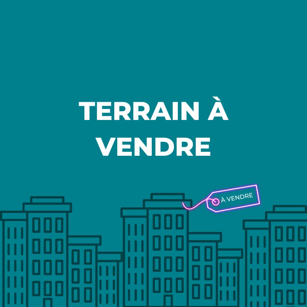 Terrain