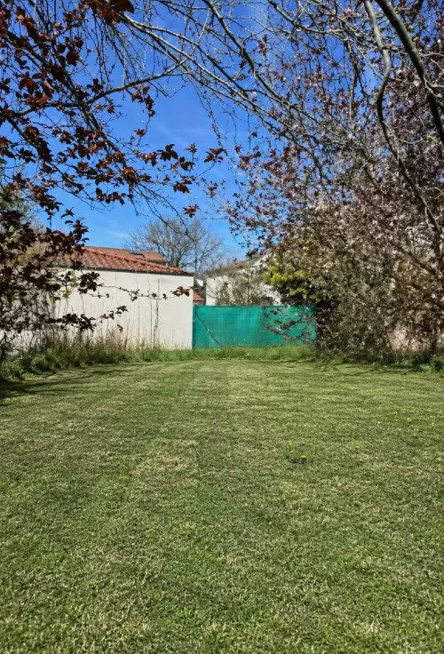 Terrain