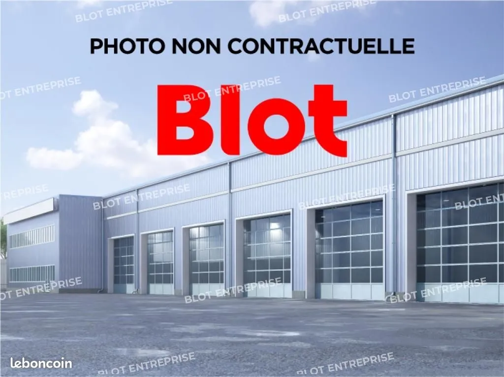 Local d'activité