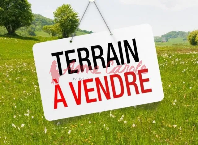 Terrain