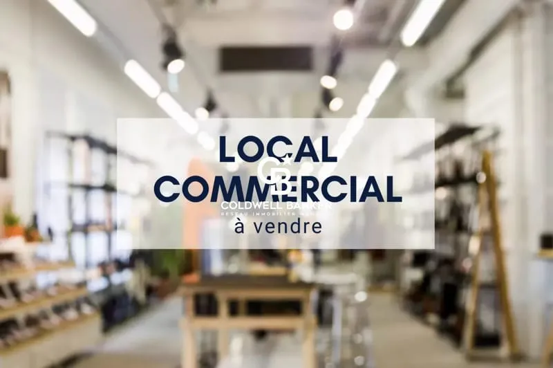 Local d'activité