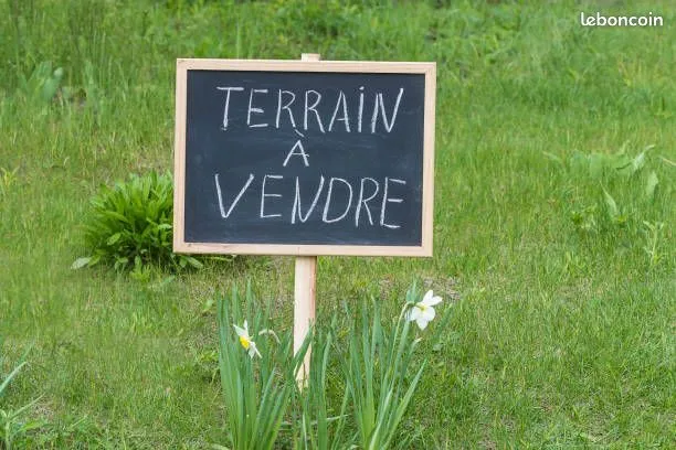 Terrain