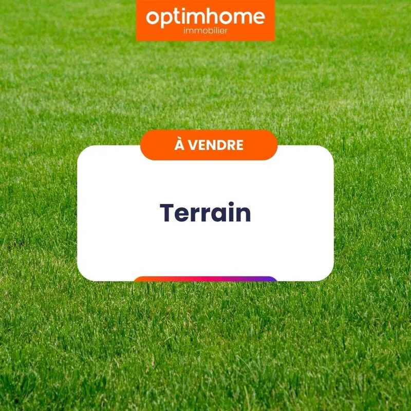 Terrain