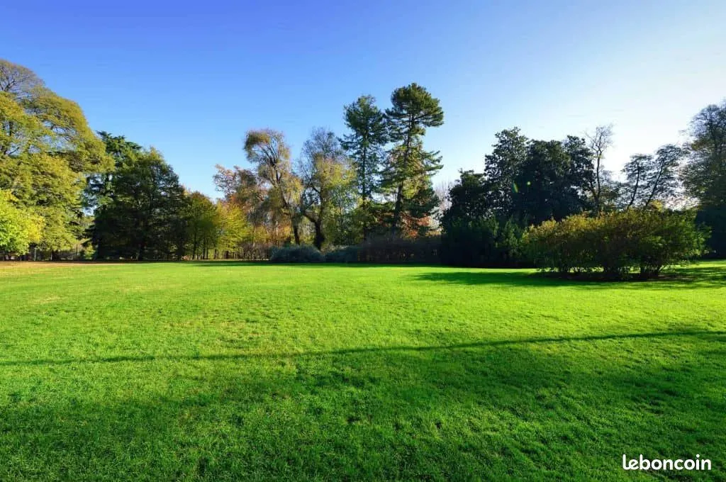 Terrain