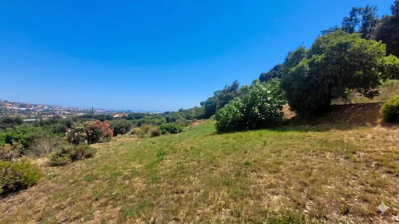 Terrain