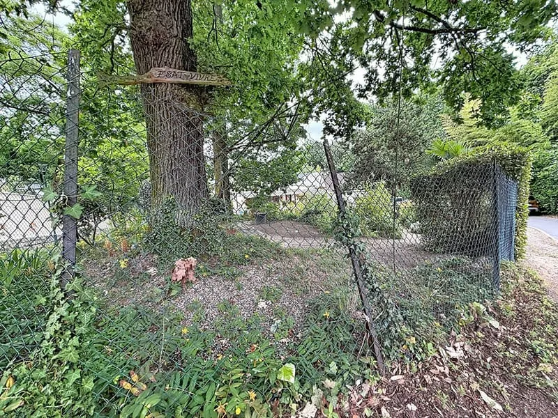 Local d'activité