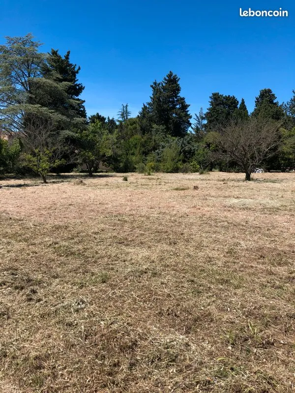 Terrain