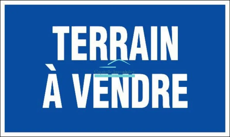 Terrain