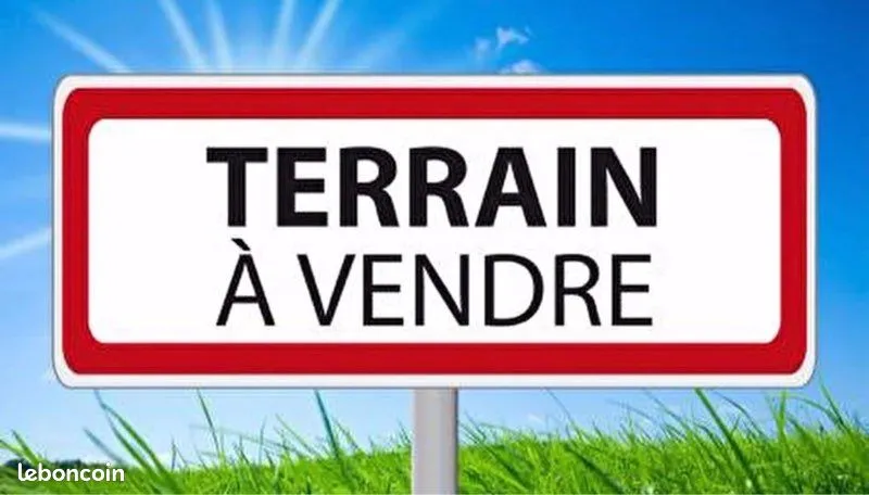 Terrain