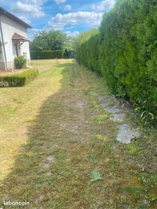 Terrain