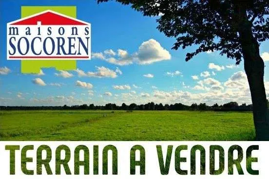 Terrain