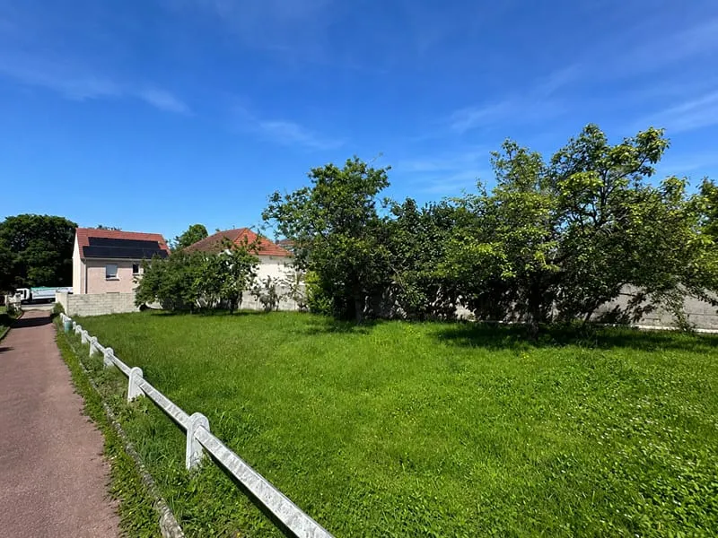 Terrain