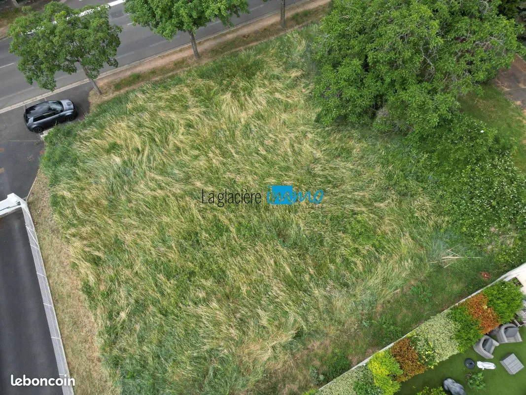 Terrain