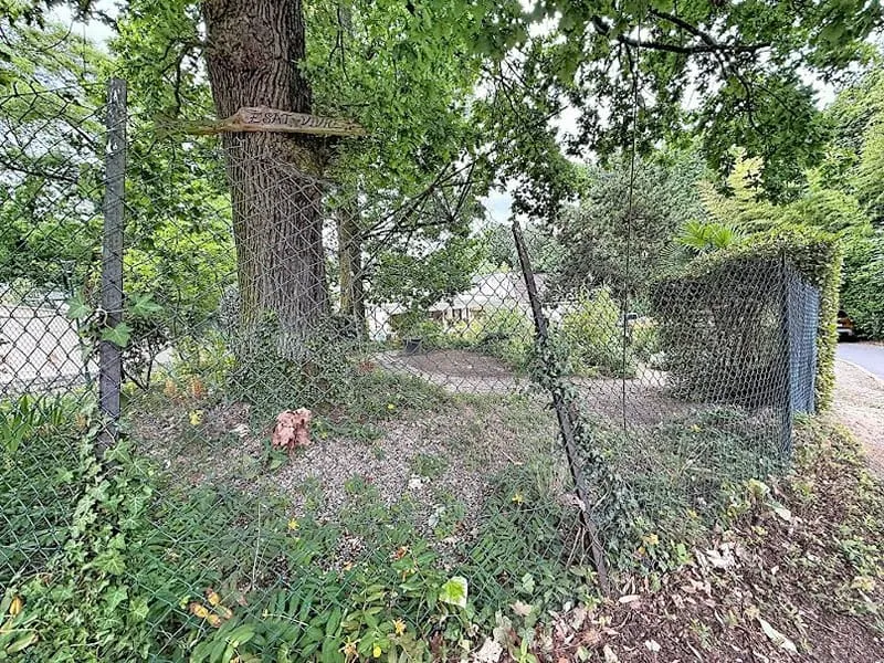 Terrain
