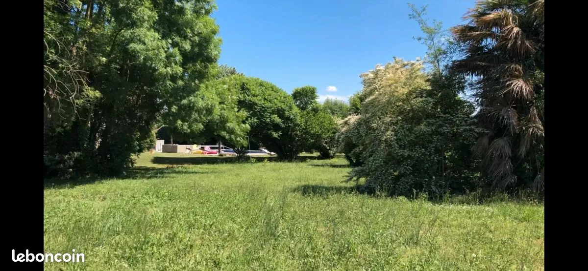 Terrain
