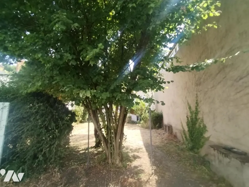 Terrain