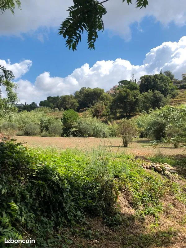 Terrain
